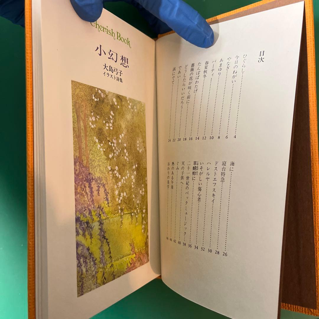 小幻想 大島弓子 イラスト詩集 チェリッシュブック　初版