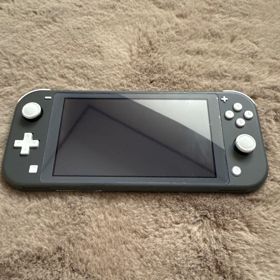 Nintendo Switch Lite 本体 充電器付き