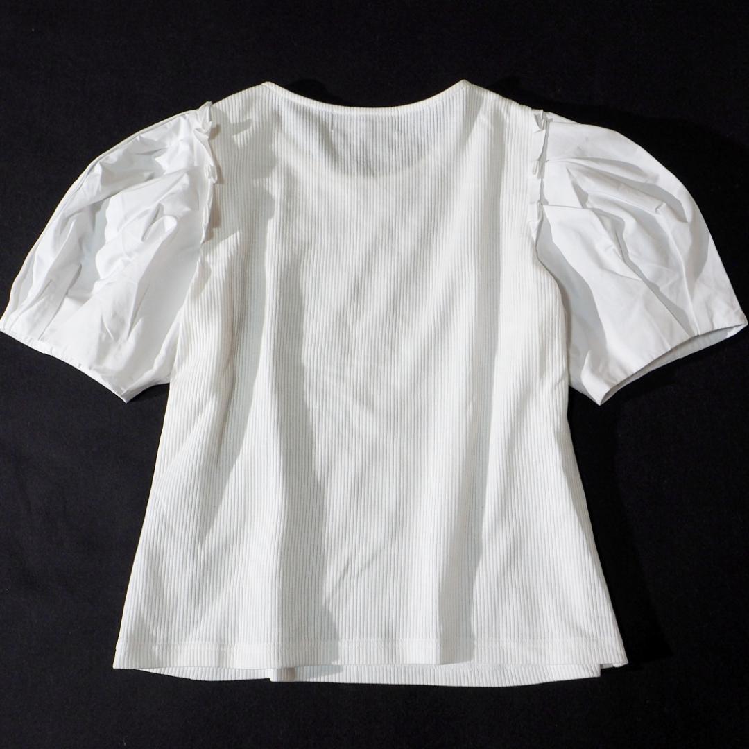 エムズグレイシー M'S GRACY カットソー Tシャツ 近年モデル 40