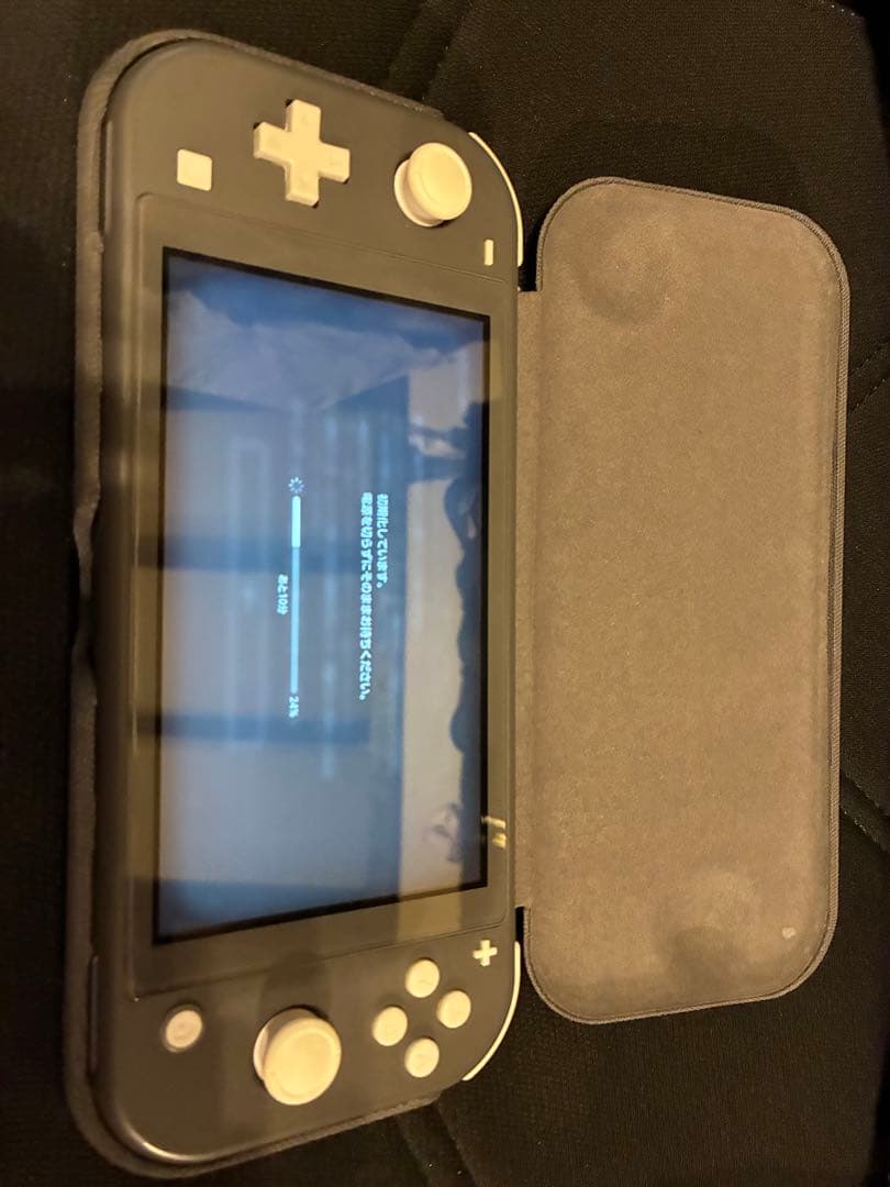 美品 Nintendo Switch Lite グレー