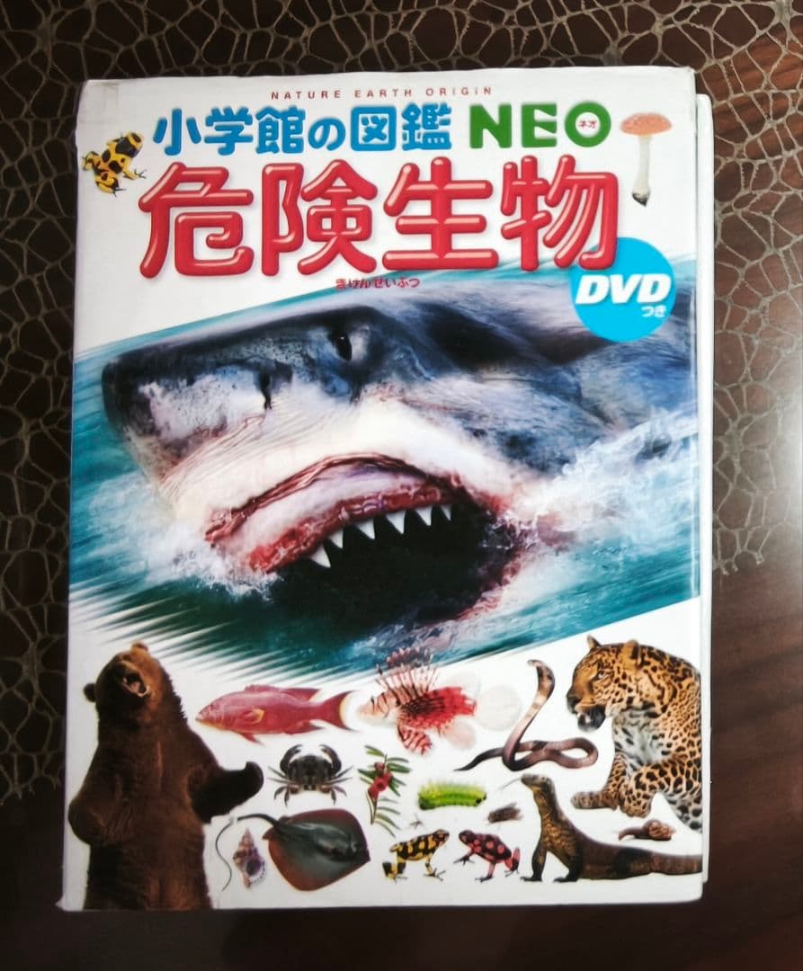 小学館の図鑑NEO 6冊セット DVD付き