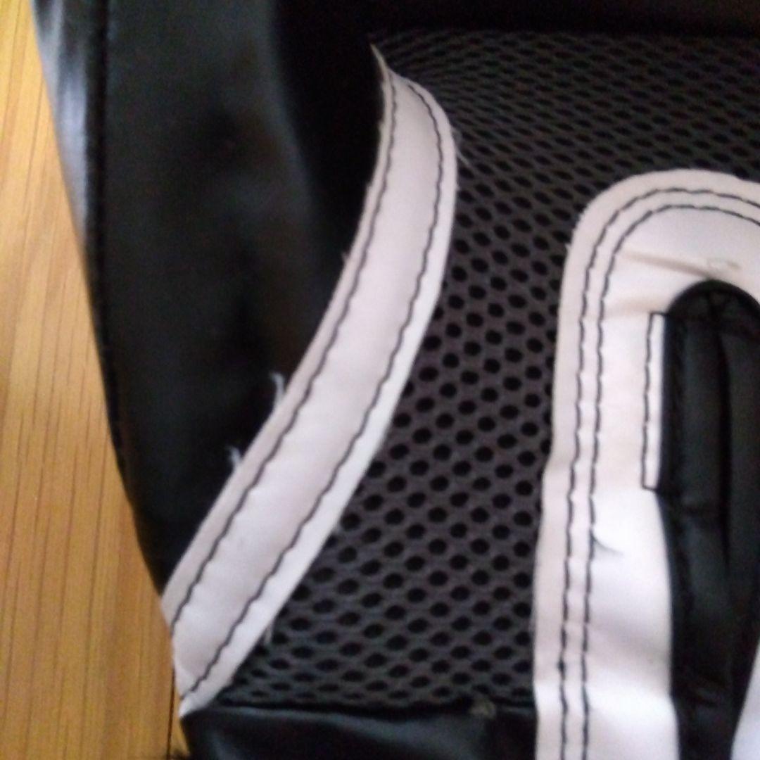 EVERLAST PRO STYLE TRAINING GLOVES 16オンス