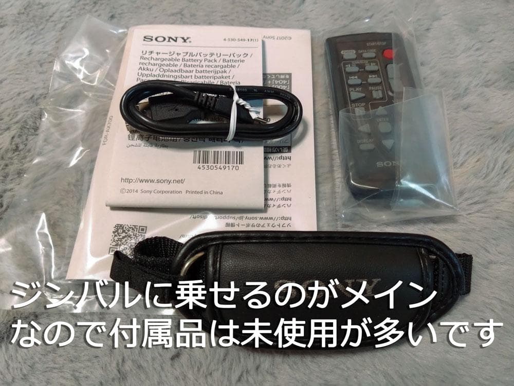 美品 SONY FDR-AX700 ビデオカメラ CPL・大容量バッテリーセット