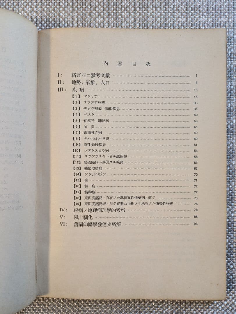東印度諸島ノ疾病　山口頼夫　ジャカルタ陸軍病院　非売品