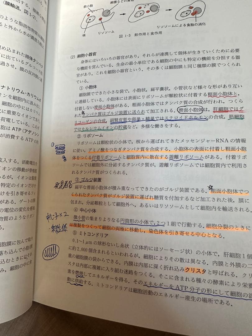 鍼灸教科書　解剖学/生理学　中古　書き込み有