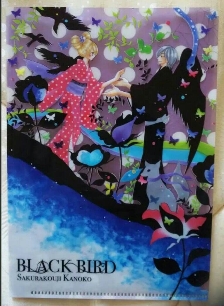 【美品★未開封】BLACK BIRD セット出品