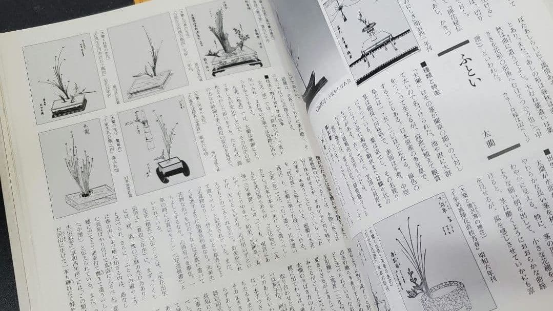 ☆早い者勝ち☆ 作例、文献付 生花格花花材事典 講談社 新品未使用