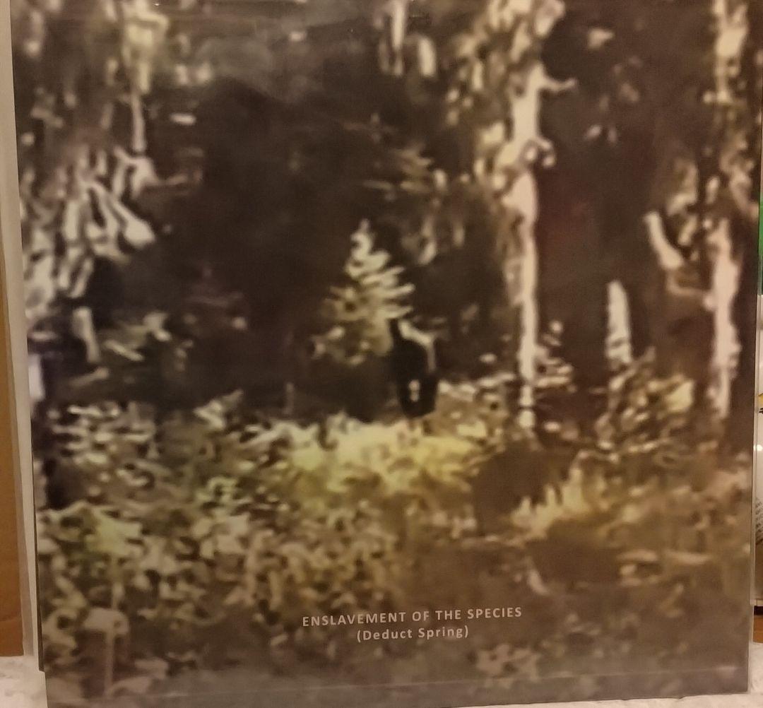 洋楽 The Gesu Plateau 2LP