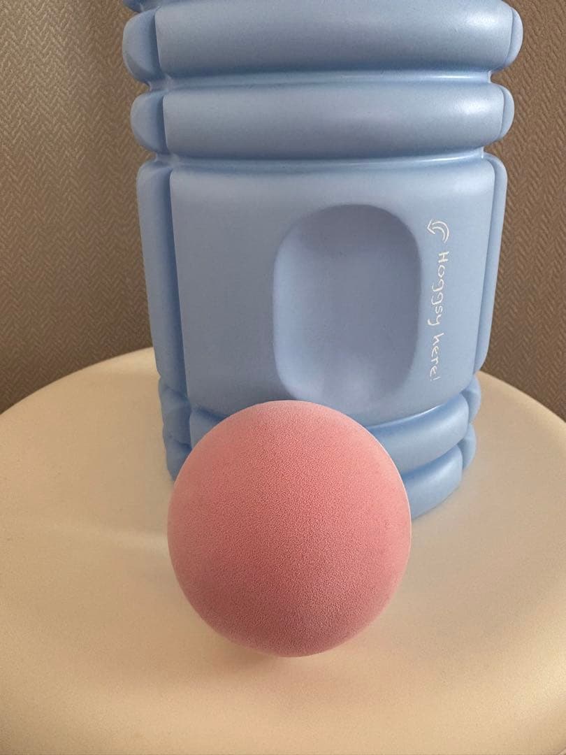 Hoggy ホグッシーローラー & ボール セット