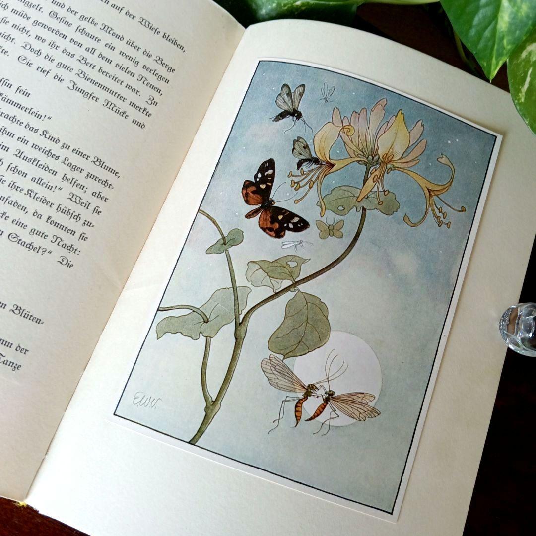 洋書古書　1941年　エルゼヴェンツの美しい画集　ドイツ　児童書　ヴィンテージ