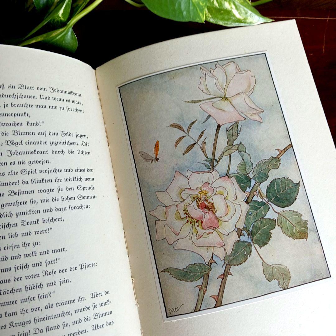 洋書古書　1941年　エルゼヴェンツの美しい画集　ドイツ　児童書　ヴィンテージ