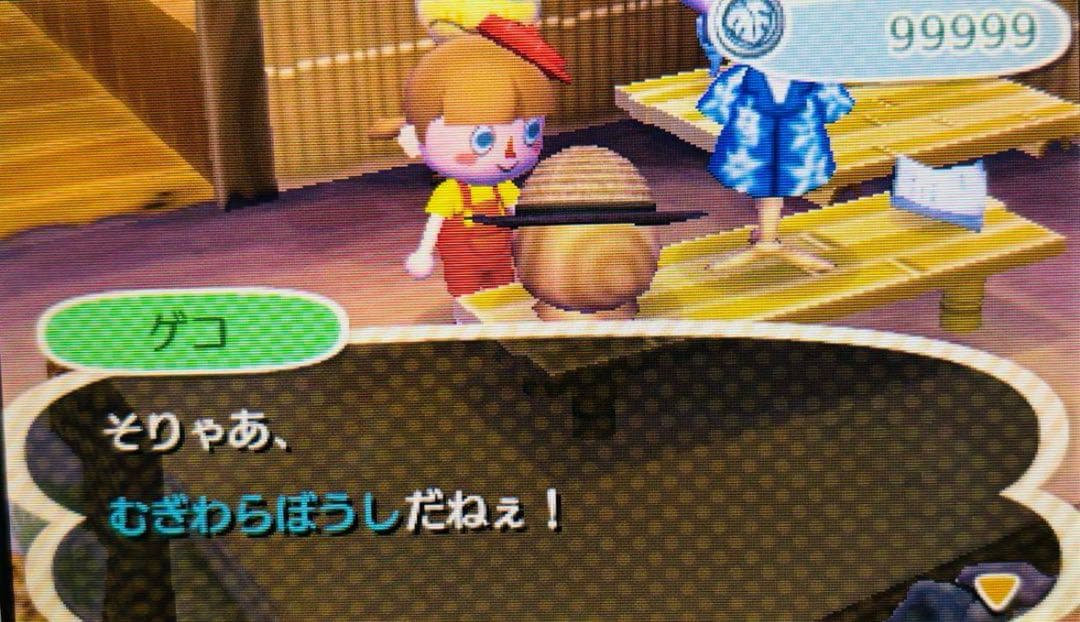 とびだせどうぶつの森 やり込み最強データ ソフト