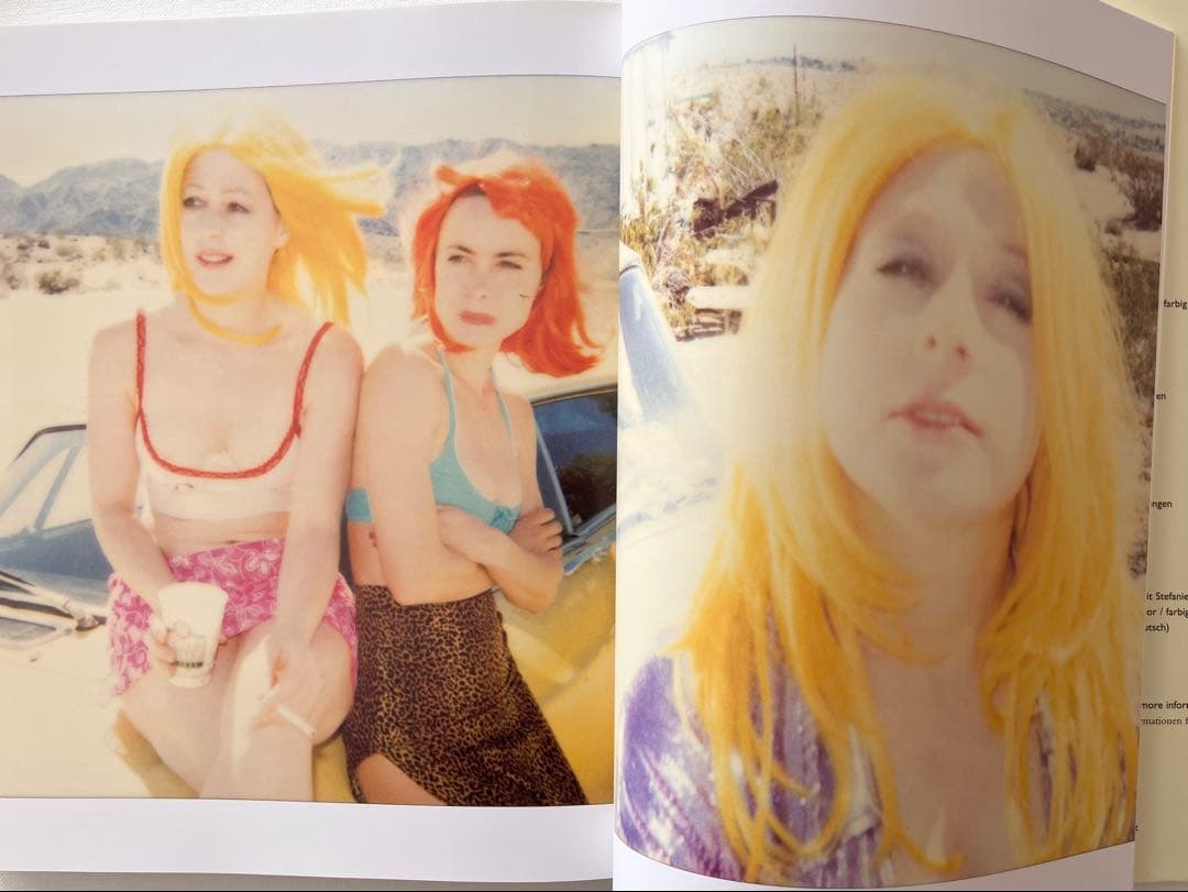 Stefanie Schneider 写真集　ポラロイド　フィルムカメラ　洋書