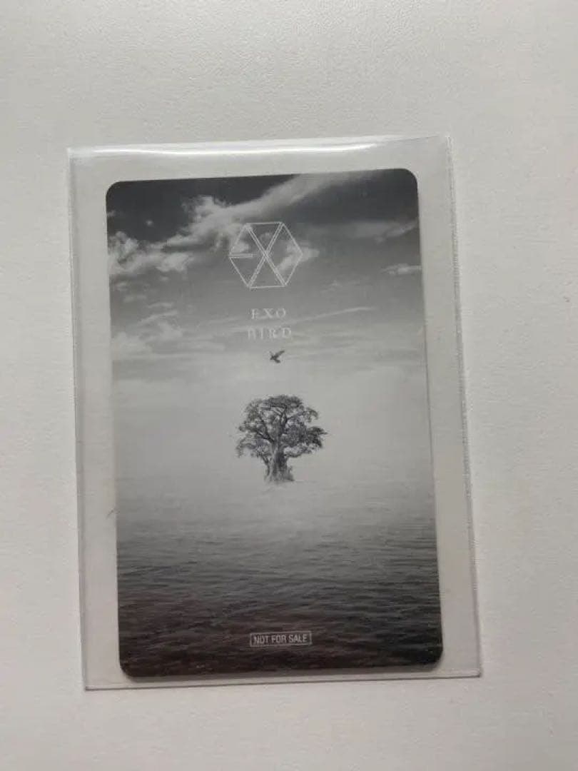 EXO チャニョル トレカ　bird 限定