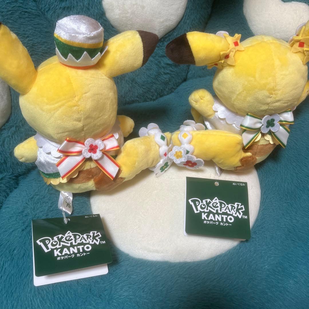 ポケパーク カントー ピカチュウ ぬいぐるみ 2体セット