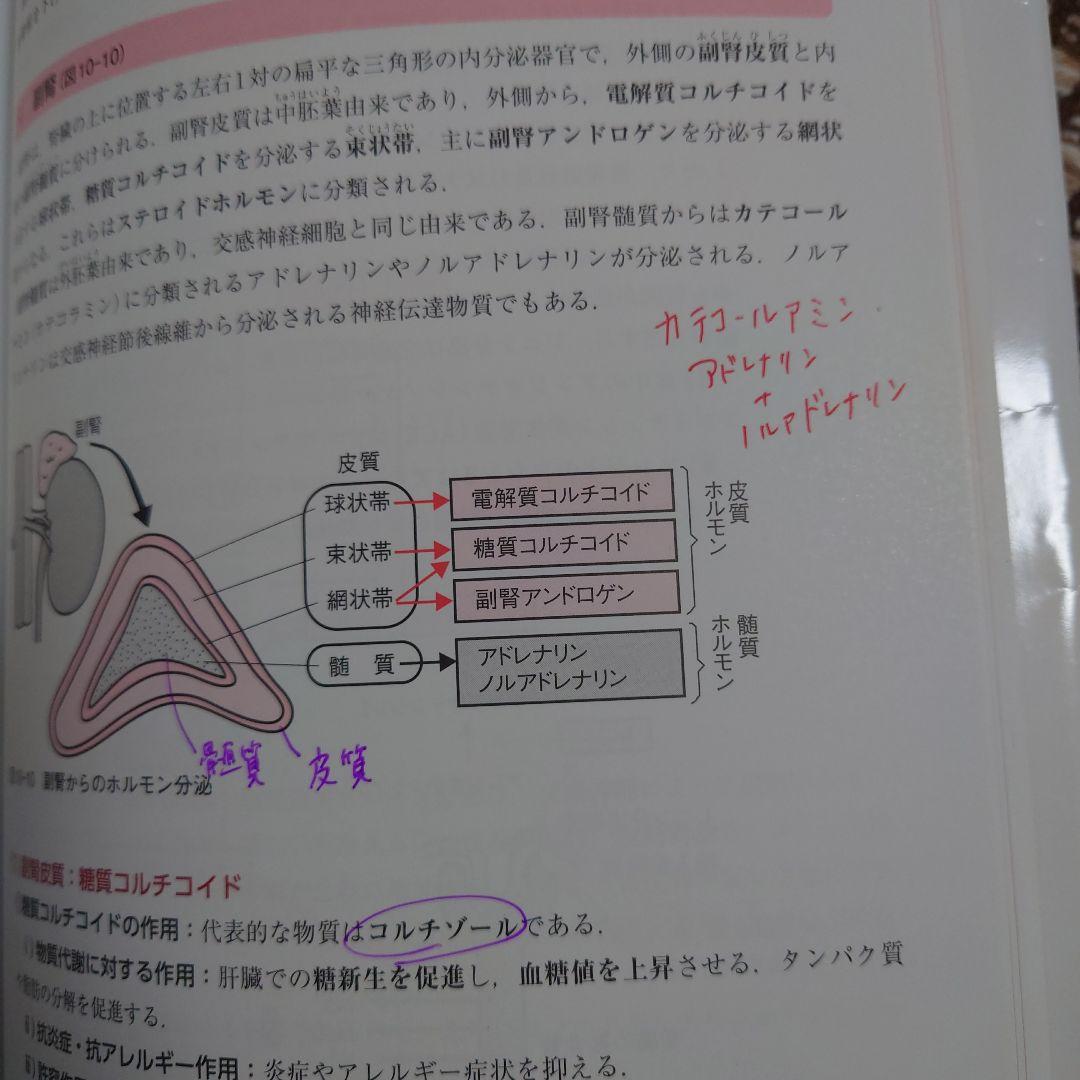 【AAさん検討中】鍼灸師 教科書、国家試験問題集セット