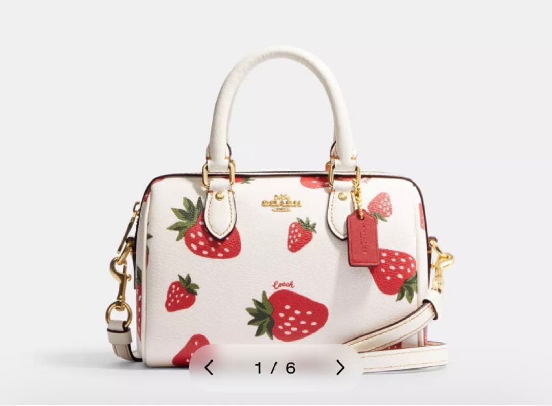 即決早いもの勝ち　COACH いちごset 二つ折り財布&バック