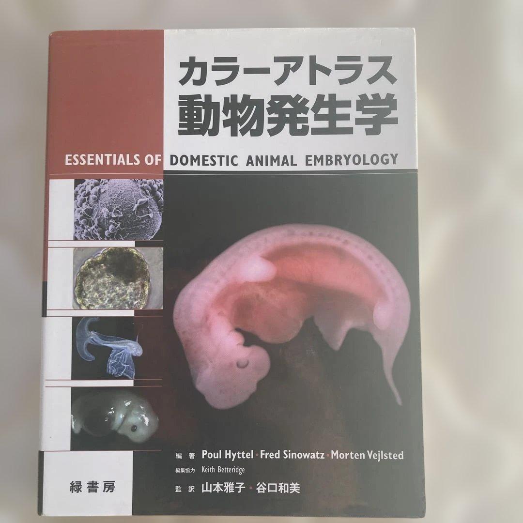 【 激安 】カラーアトラス動物発生学＋国試最重要まとめ10枚