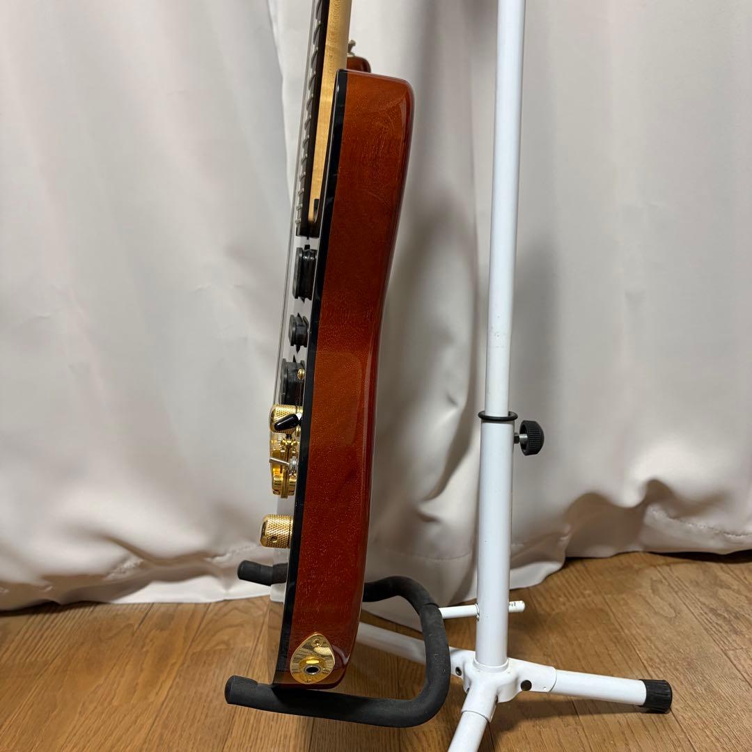 [希少]Schecter NV-DX-24-MH-VTR/QMH/E