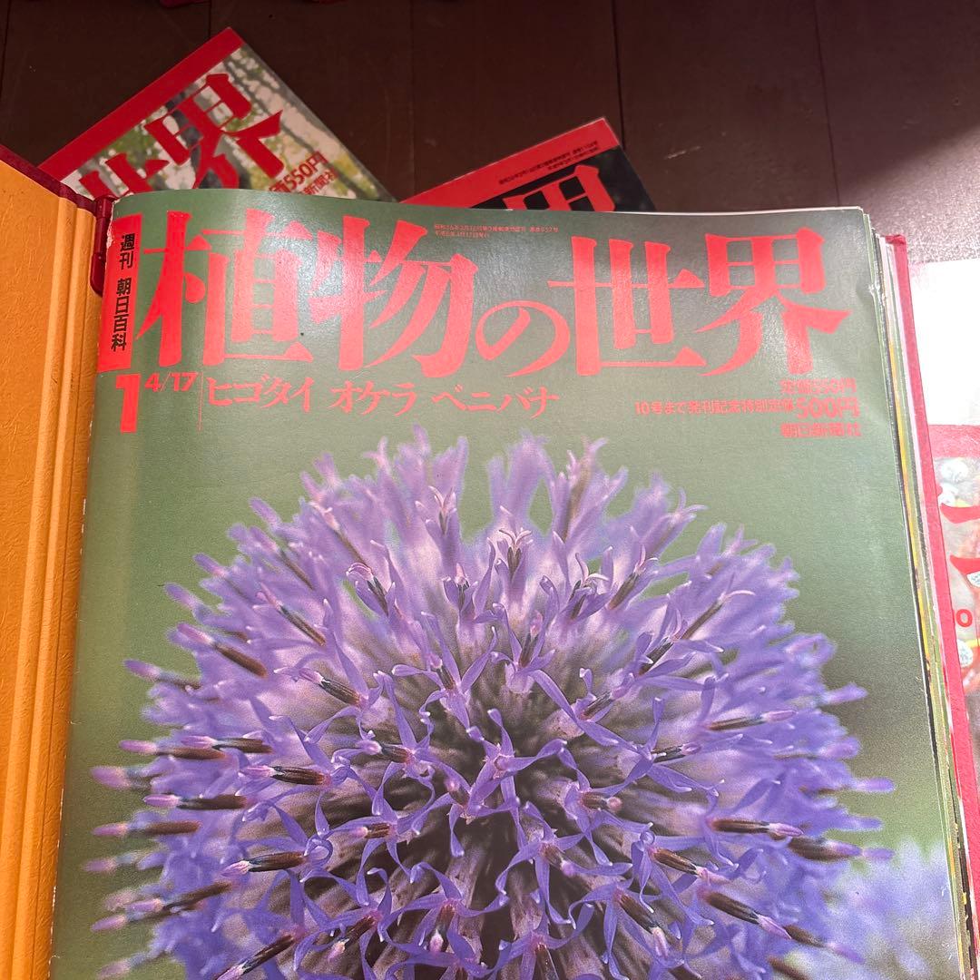 週刊朝日百科　植物の世界 全145冊セット別冊きのこの世界5冊