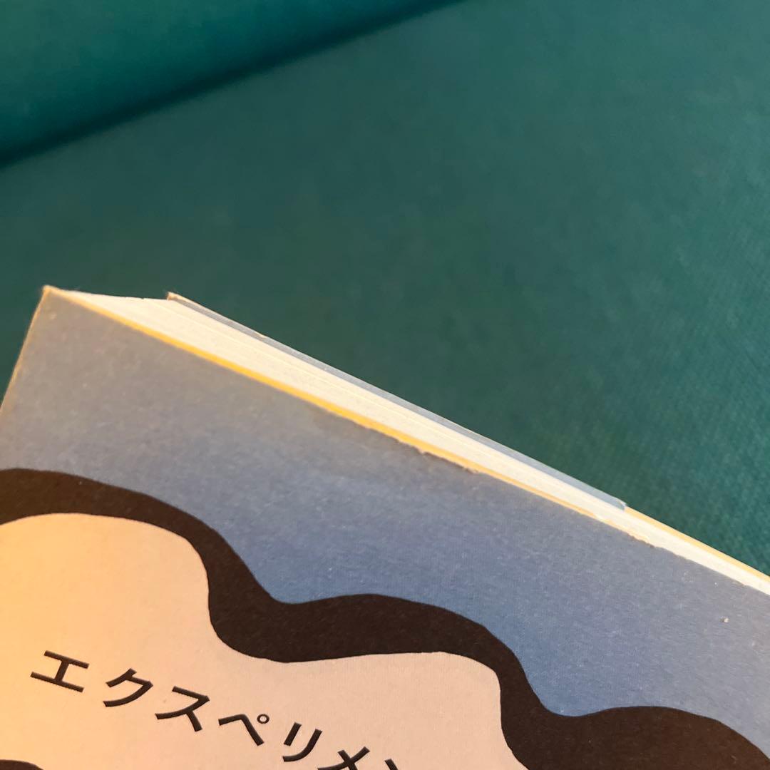 エクスペリメンタル・ミュージック フリードリッヒ・ローベル