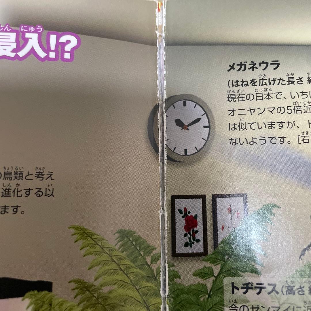 本日限定価格　プレneo 小学館の図鑑neo まどあけずかん　セット