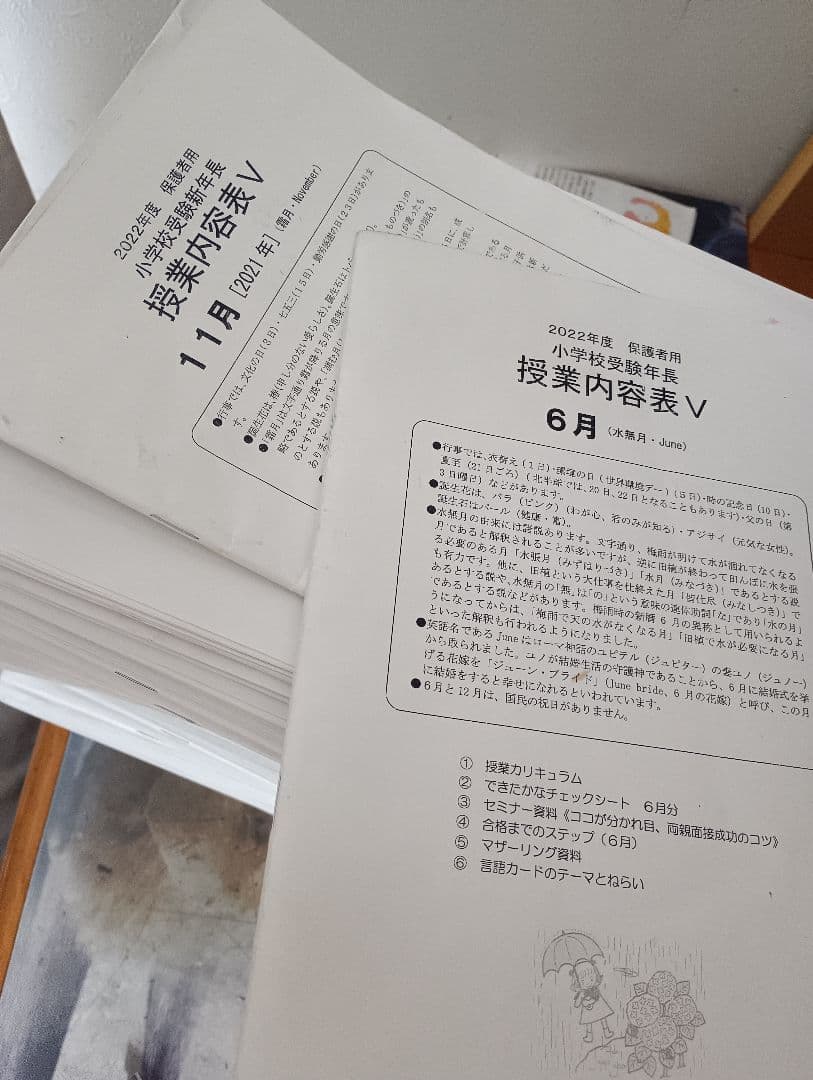 理英会夏期講習 Vロング+年長総合集中 +びっくり問題集 未記入有 小学校受験