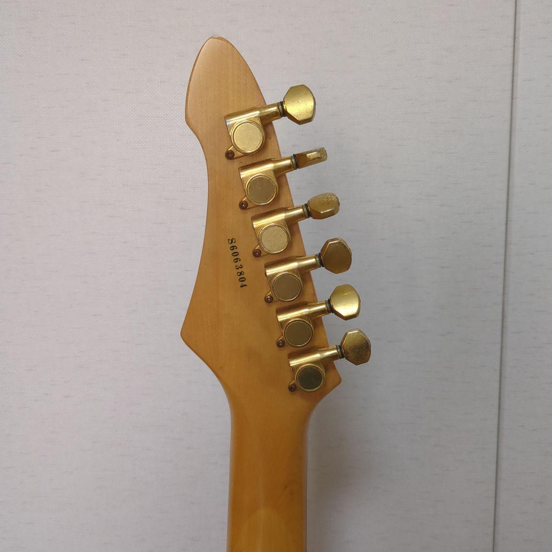 Aria Pro 2　MAGMA Series　エレキギターソフトケース付
