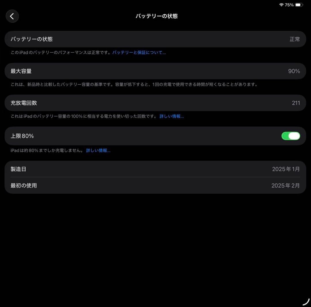 iPad Pro（m4）13インチ256gb/ Wi-Fi/充電スタンド付き