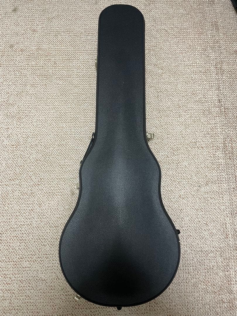 Aria Pro II LS-800VD CH 1980年代　ケース付き