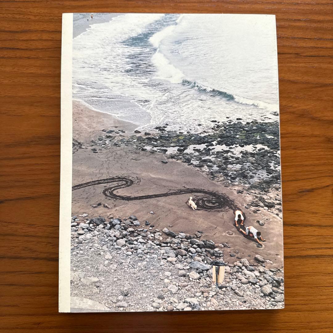 洋書 Wolfgang Tillmans Freischwimmer