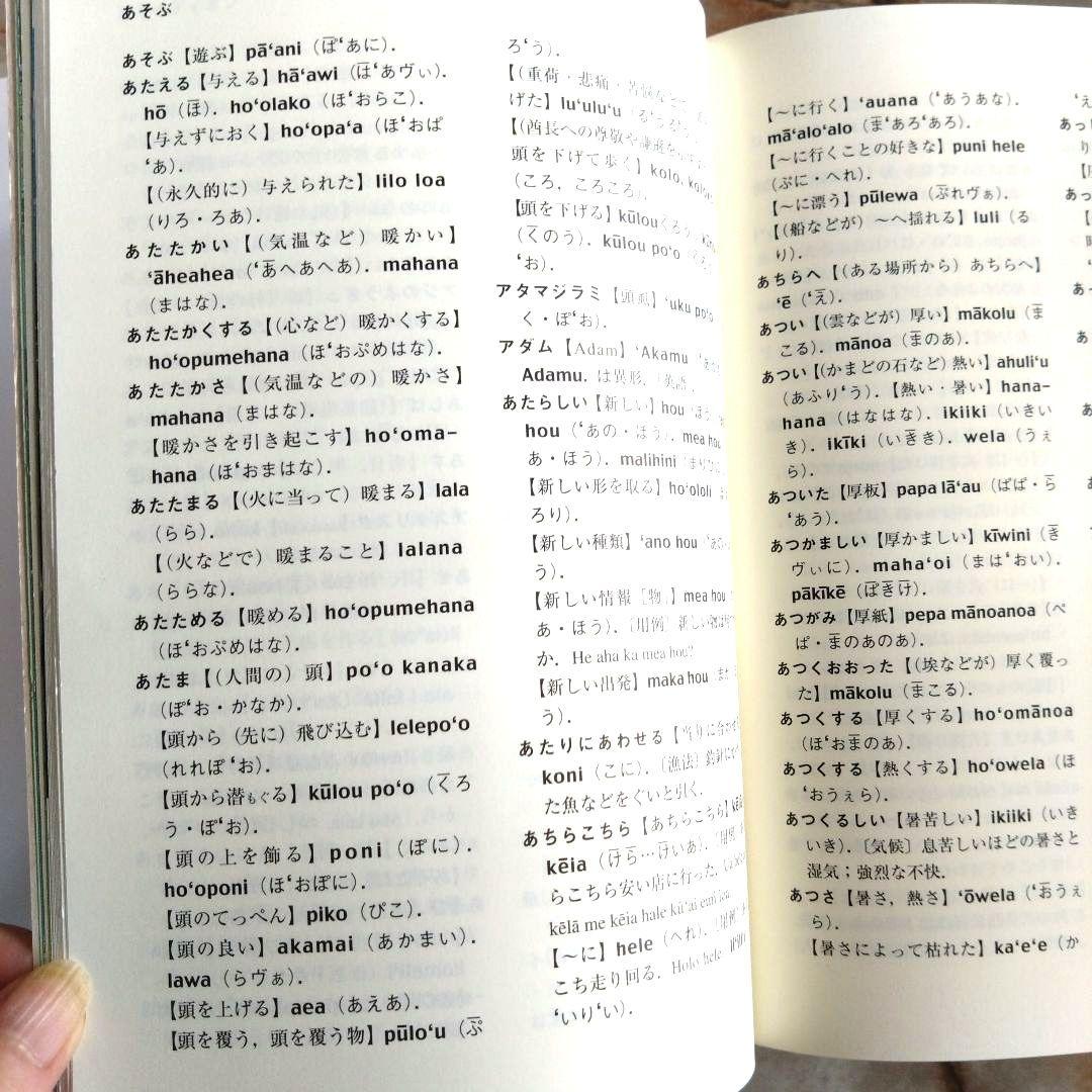西沢佑 『日本語ハワイ語辞典』