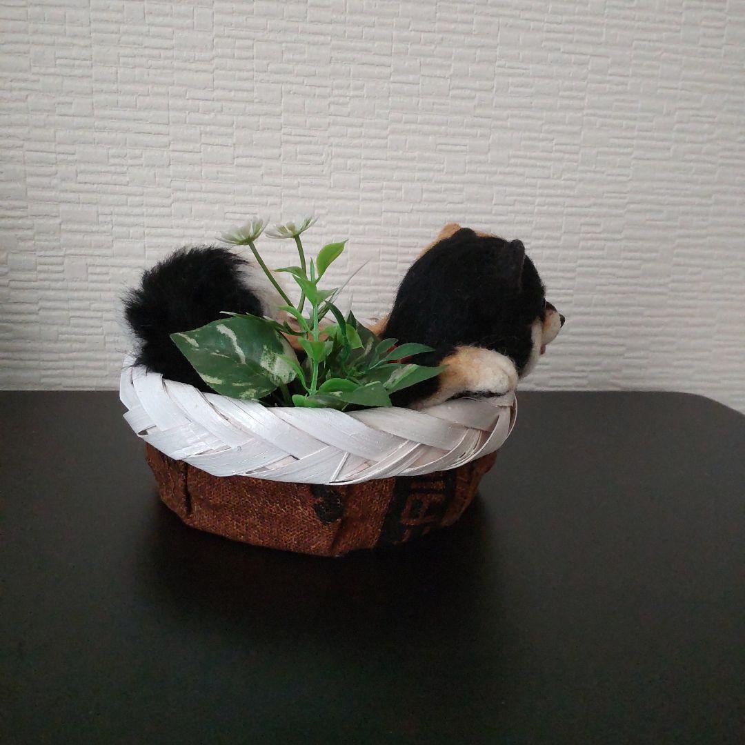 羊毛フェルト☆クラフトかご柴犬☆ハンドメイド