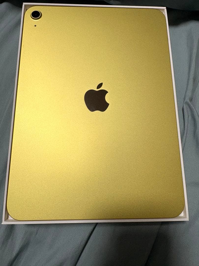 Appll iPad A16 11 インチモデル