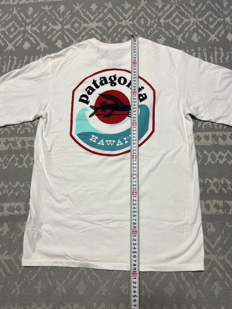 #ハワイ限定　パタゴニア　Tシャツ