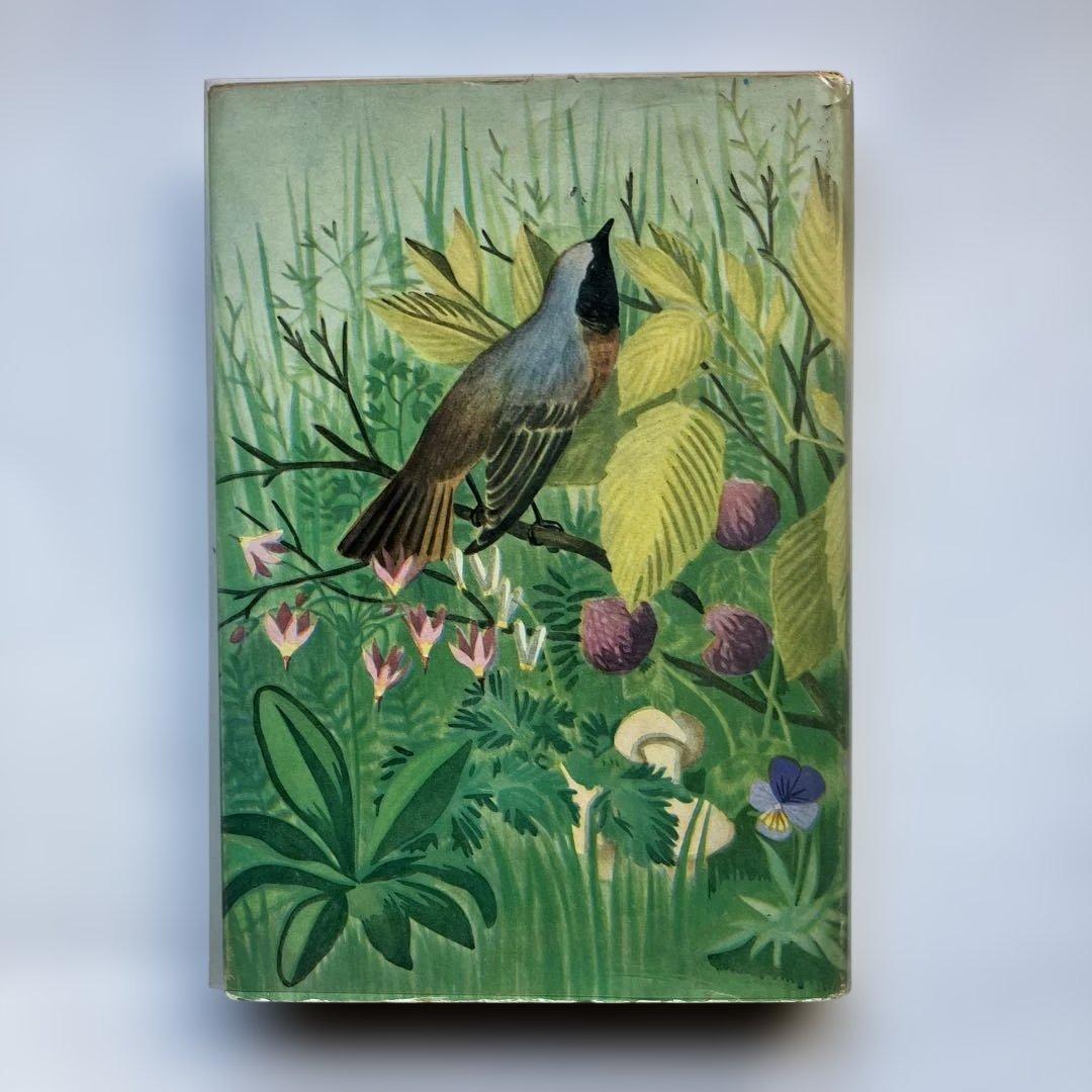 洋書 Chocoline et le printemps