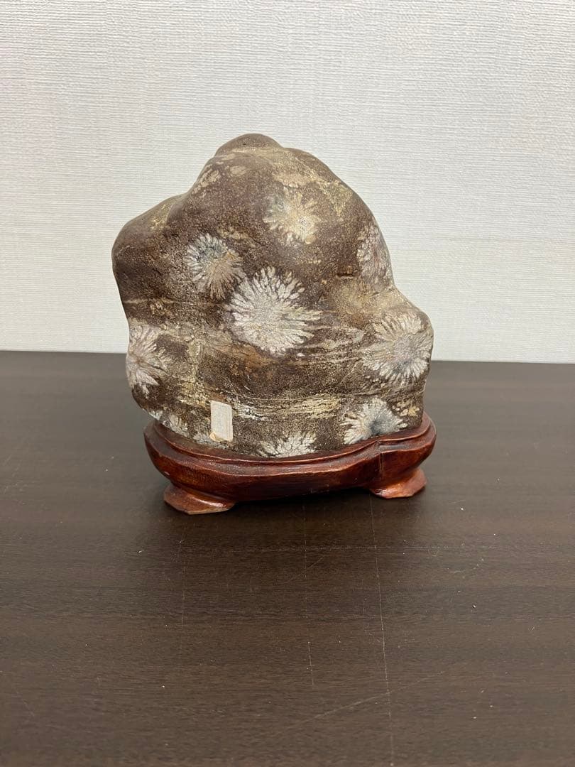 飛騨・菊紋石・菊花石　花梨台付き
