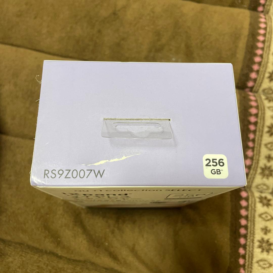 スマホアクセサリー SanDisk SDIZ90N-256G