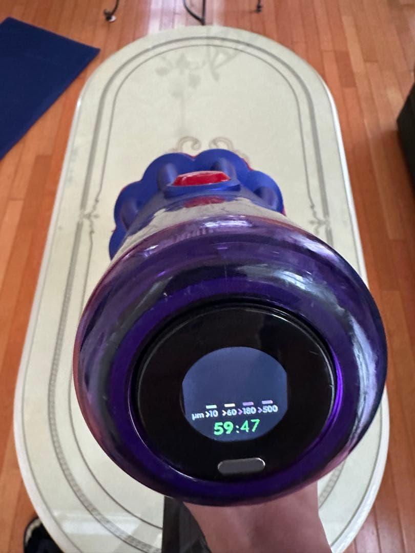 ダイソン 掃除機 V12 SV20 分解清掃済　匿名配送