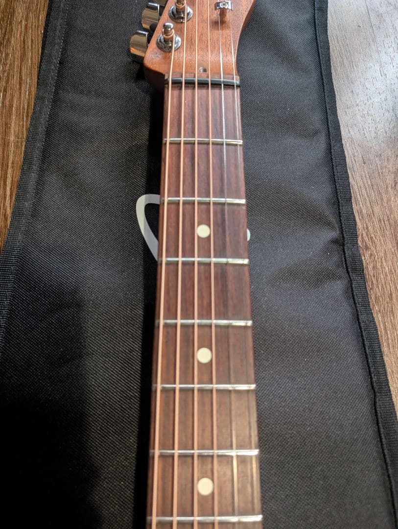 三*犬様 Fender Acoustasonic Player Telecast