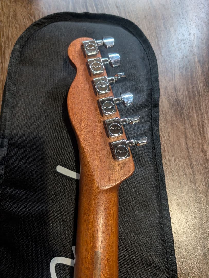 三*犬様 Fender Acoustasonic Player Telecast