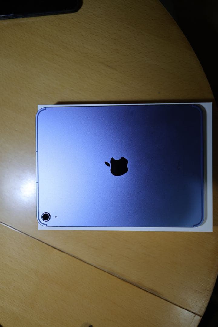 美品 iPad 第10世代 256GB WiFi+Cellular SIMフリー