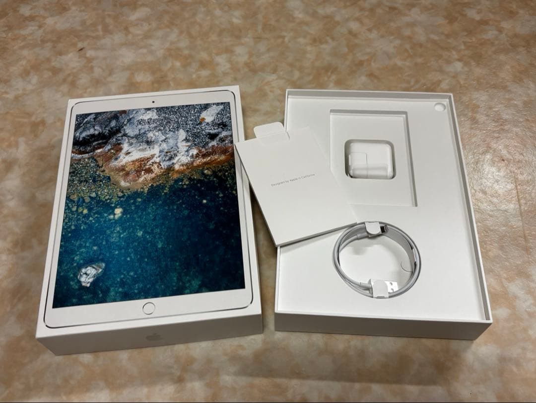 Apple iPad Pro 10.5インチ　SIMなし　3月22日まで