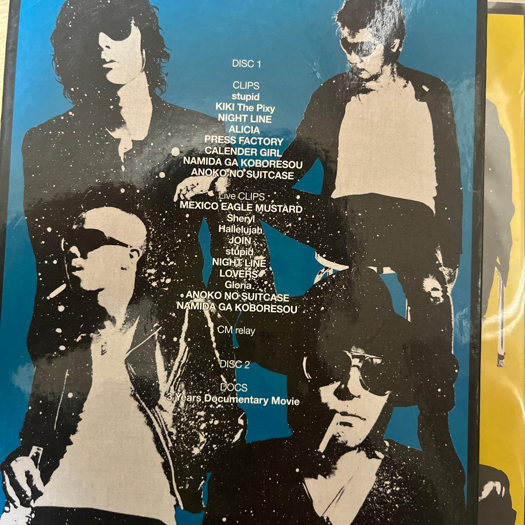 初回限定盤　美品　The Birthday THE VIDEOS +DOCS