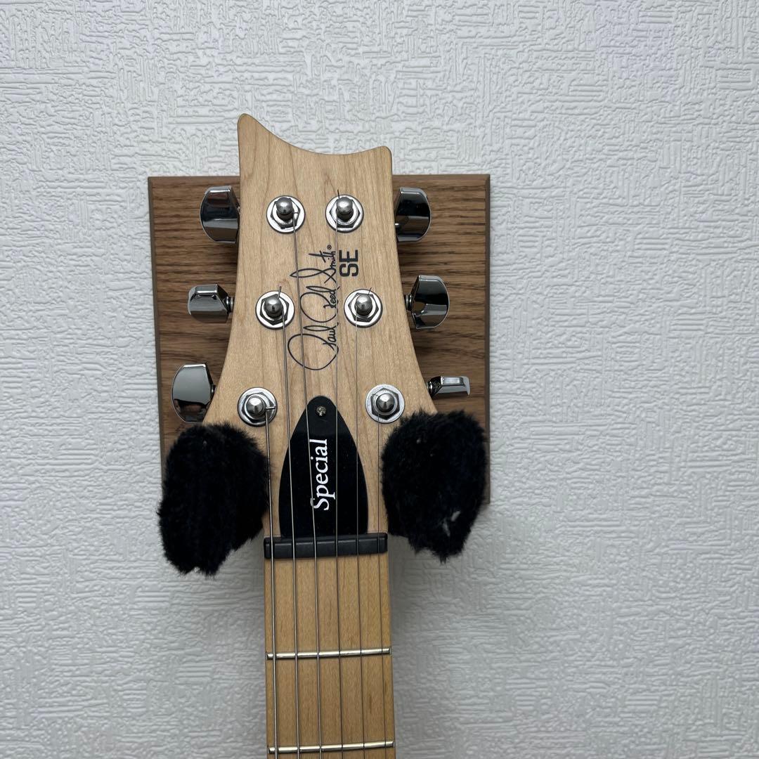 PRS SE Swamp Ash Special 中古 ギター