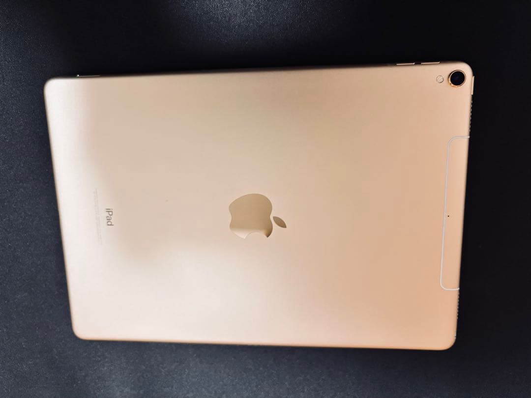 (値下げしました)Apple iPad pro10.5インチ シルバー