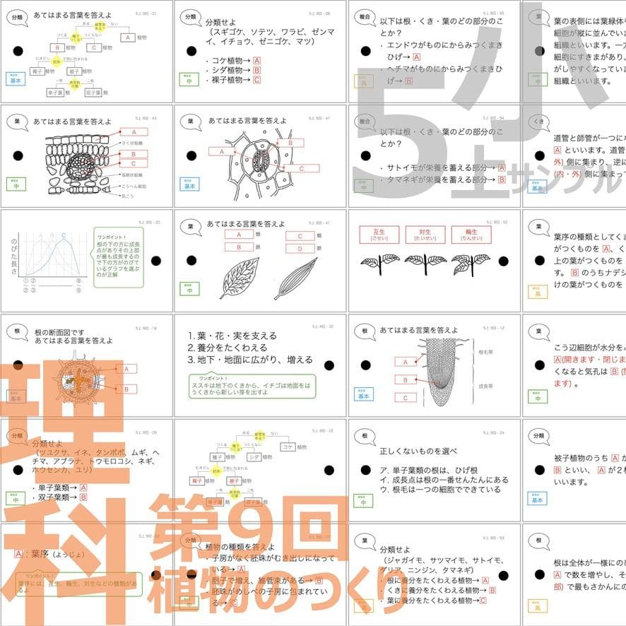 中学受験 暗記カード【5年上 社会・理科 6-19回】組分けテスト対策 予シリ