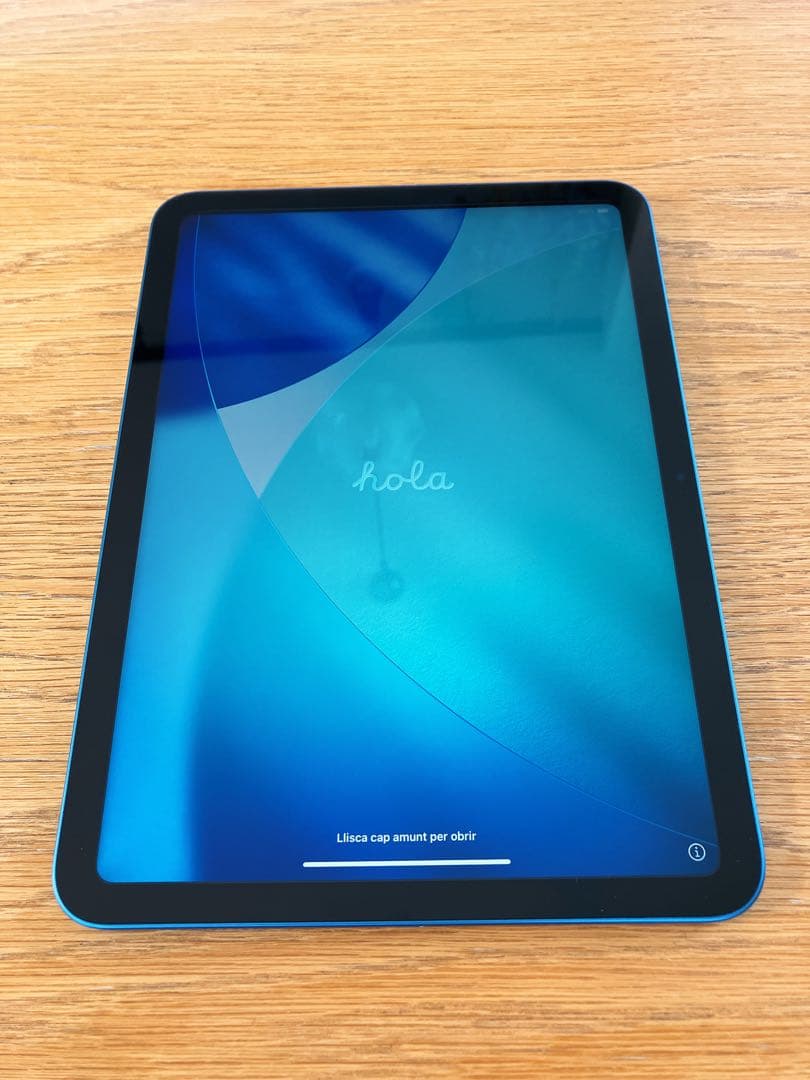 iPad第10世代 64GB Wi-Fi ブルー 付属品完備