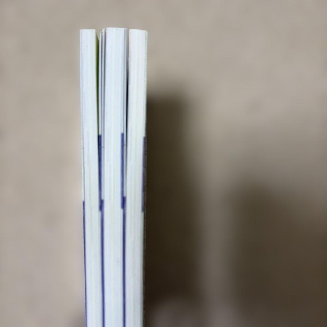 物理の分野別問題集 力学編 波動・熱編 電磁気編 高橋法彦 駿台文庫 3冊セット