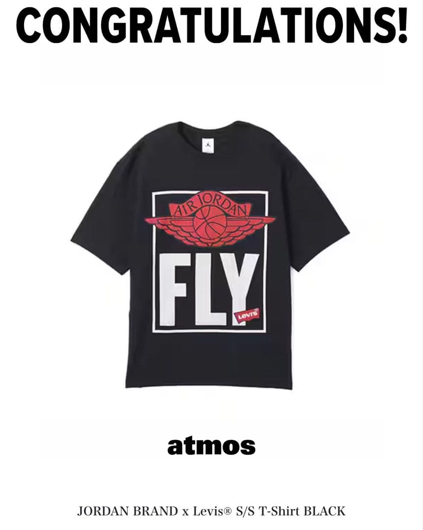 トップス Nike Jordan x LEVI'S Tee